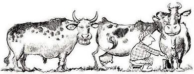Cartoon n� 10