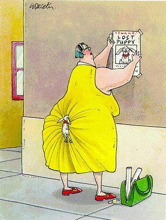 Cartoon n� 12
