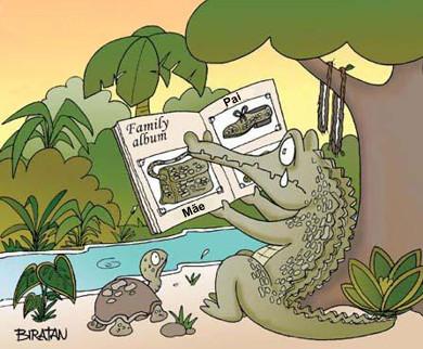 Cartoon n� 145