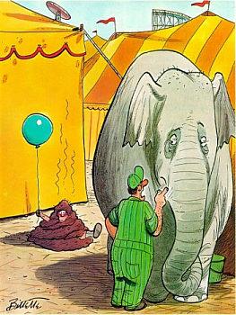 Cartoon n� 15