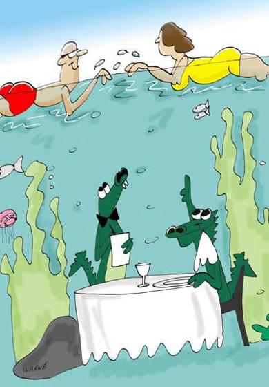 Cartoon n� 177