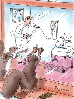 Cartoon n� 198