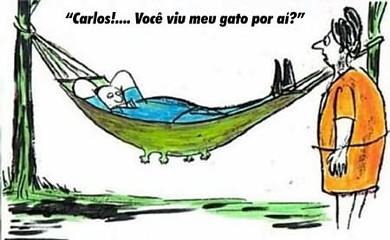 Cartoon n� 201