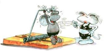 Cartoon n� 221