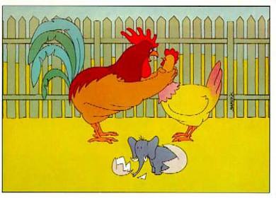 Cartoon n� 24
