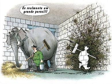 Cartoon n� 32